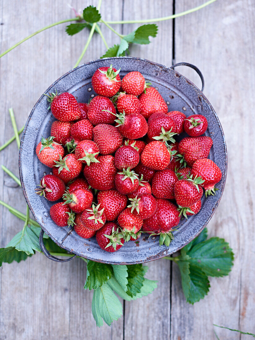 Erdbeeren in einer Schale