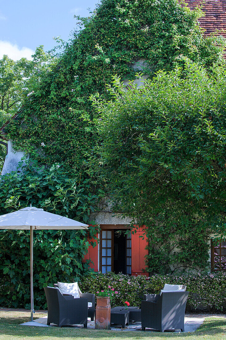 Terrace area with umbrella in front of house with overgrown façade