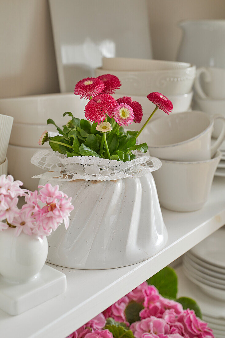 Porcelain cake moulds planted with bellis