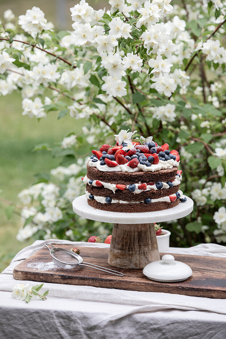 Layer cake with summer berries