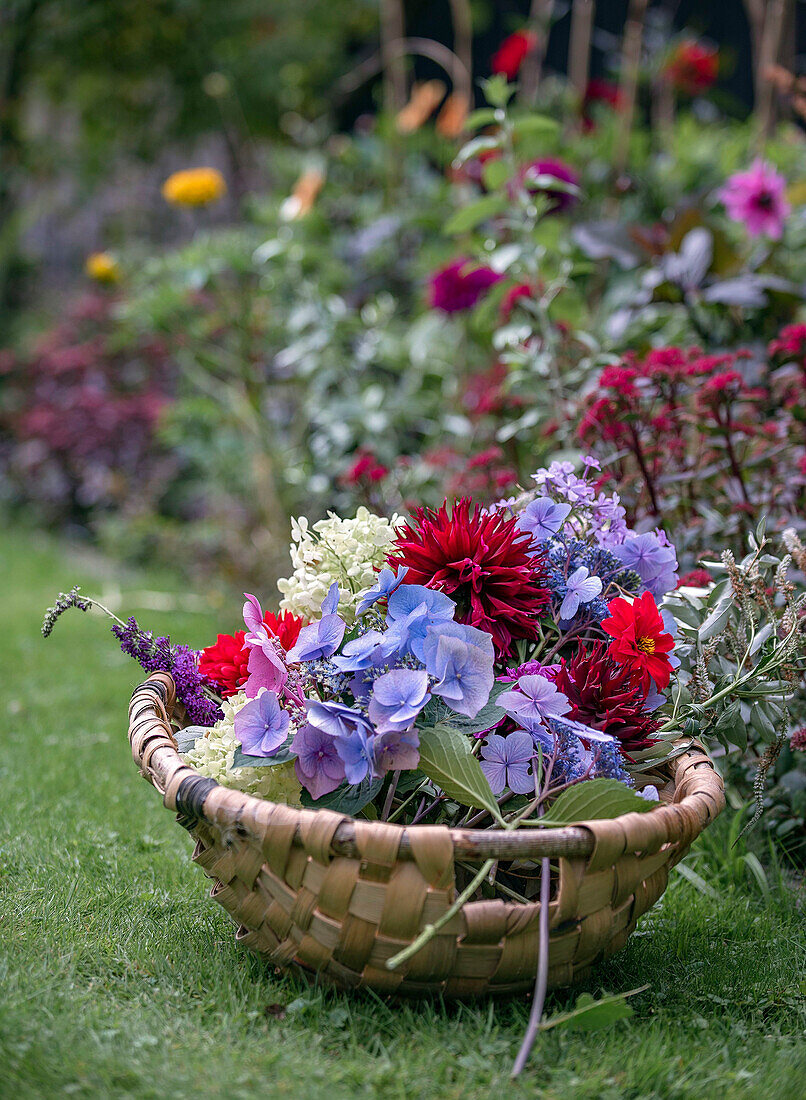 Blumenstrauß mit Hortensien (Hydrangea) und Dahlien (Dahlia) im Weidenkorb auf einer Wiese