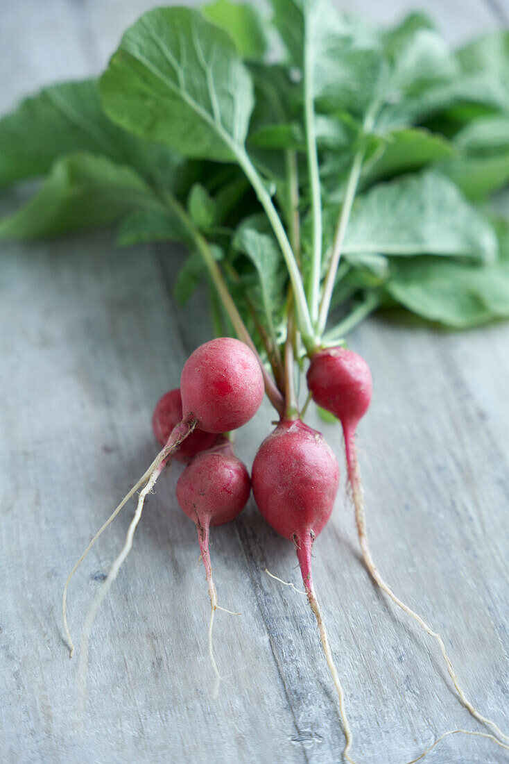 Radishes