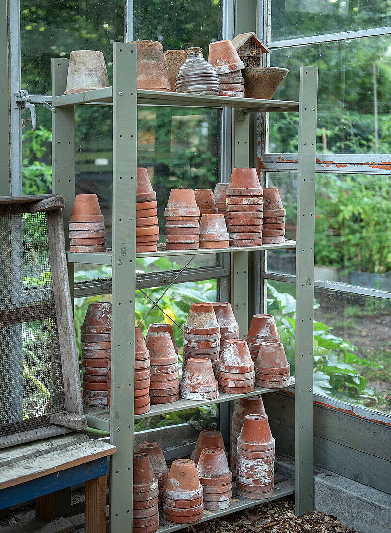 Regal mit gestapelten Terrakottatöpfen im Gartenhaus