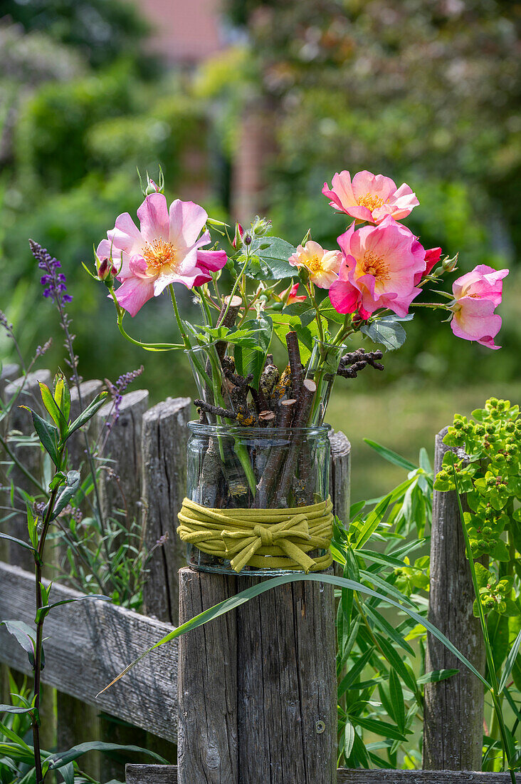 Strauchrose 'Herzogin Friederike' (Rosa), einzelne Blüten mit Steckhilfe, Zweigen in Glasvase auf Gartenzaun