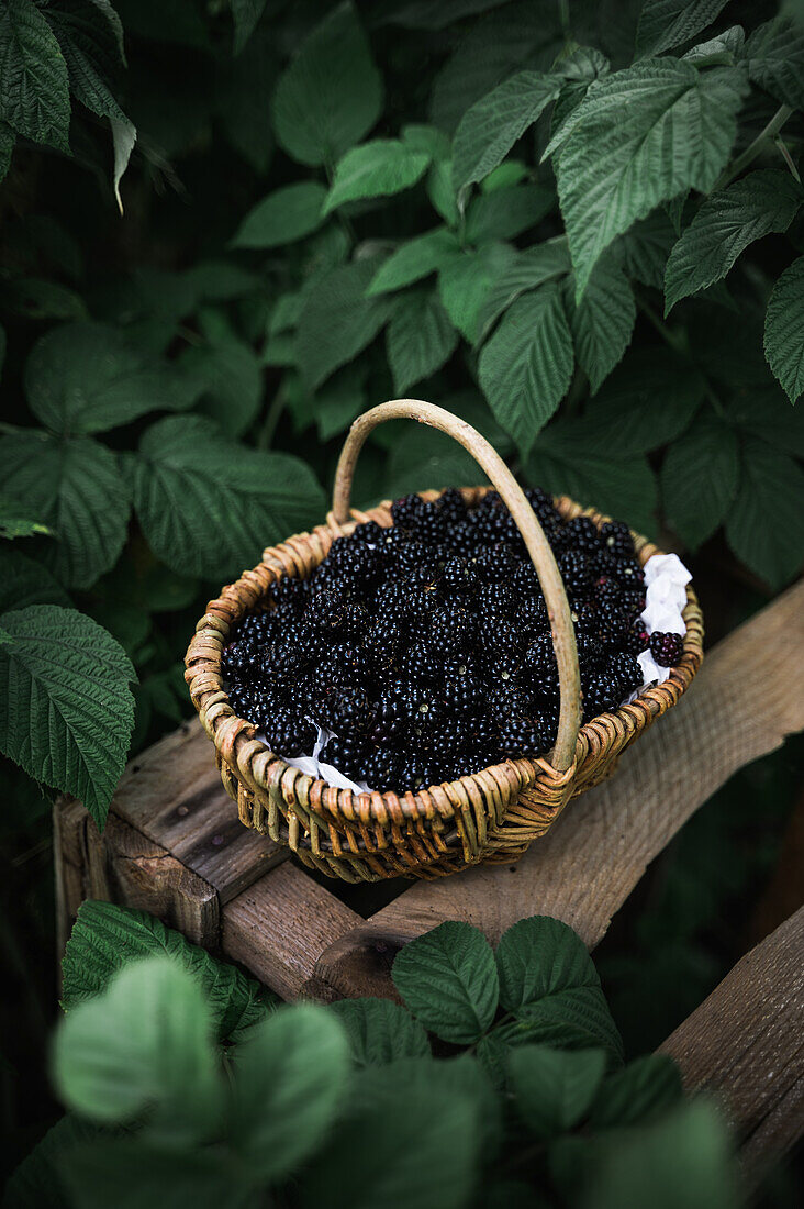 Basket with fresh blackberries