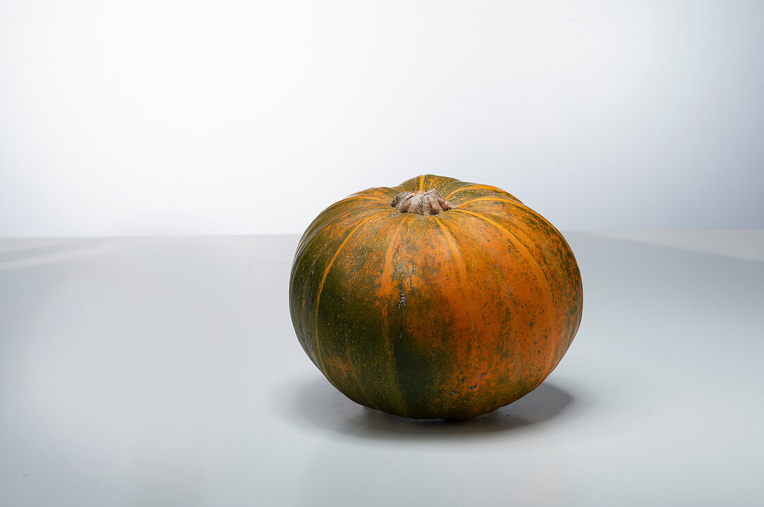 Eight Ball F1 (pumpkin variety from the USA)