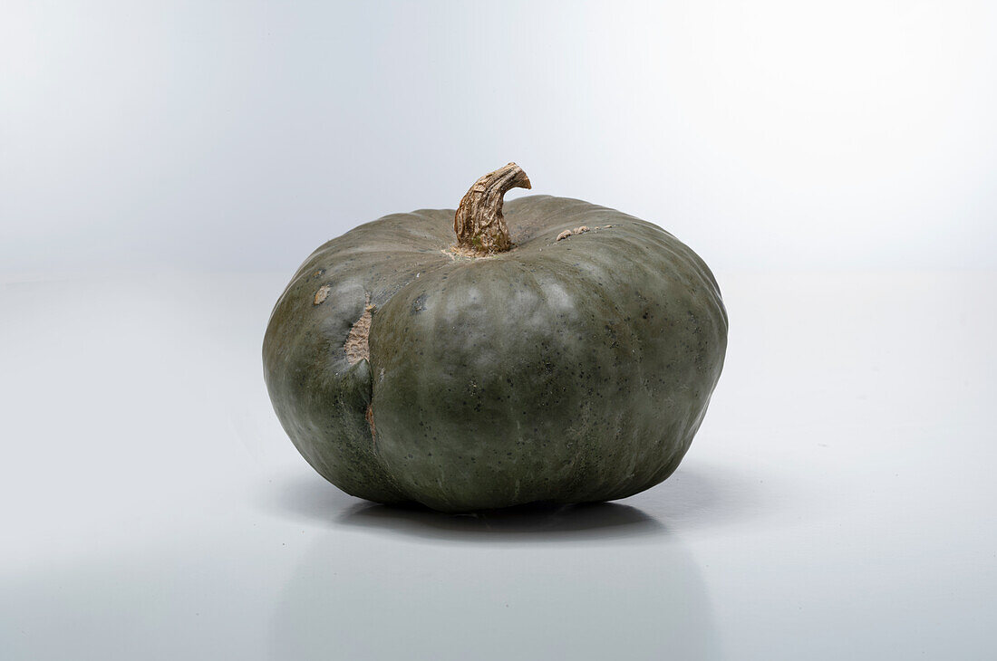 Green Hokkaido (pumpkin variety from France)