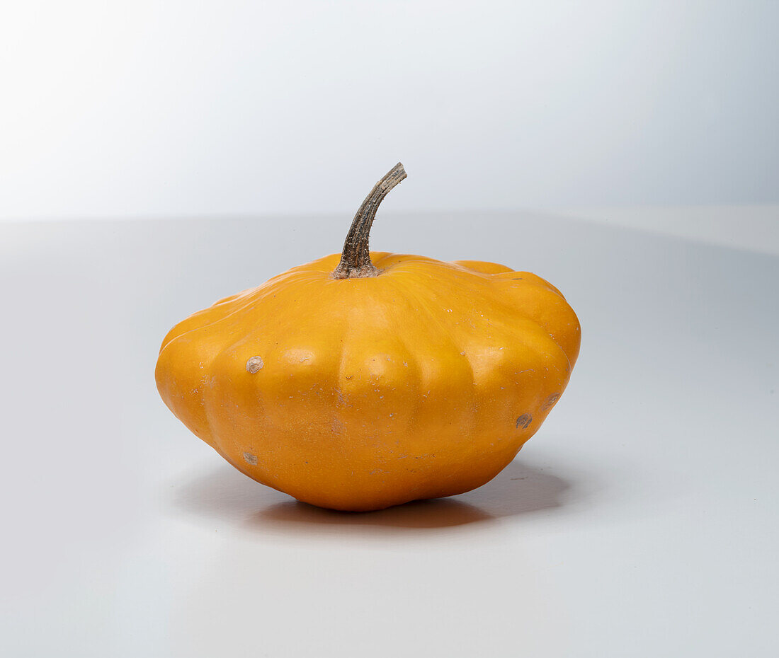 Panaché Jaune (pumpkin variety from France)