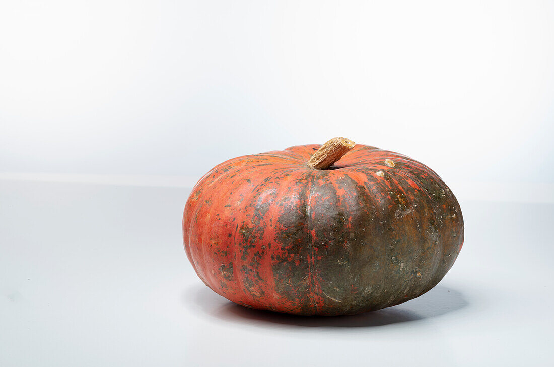 Potiron d'Alencon (pumpkin variety from France)