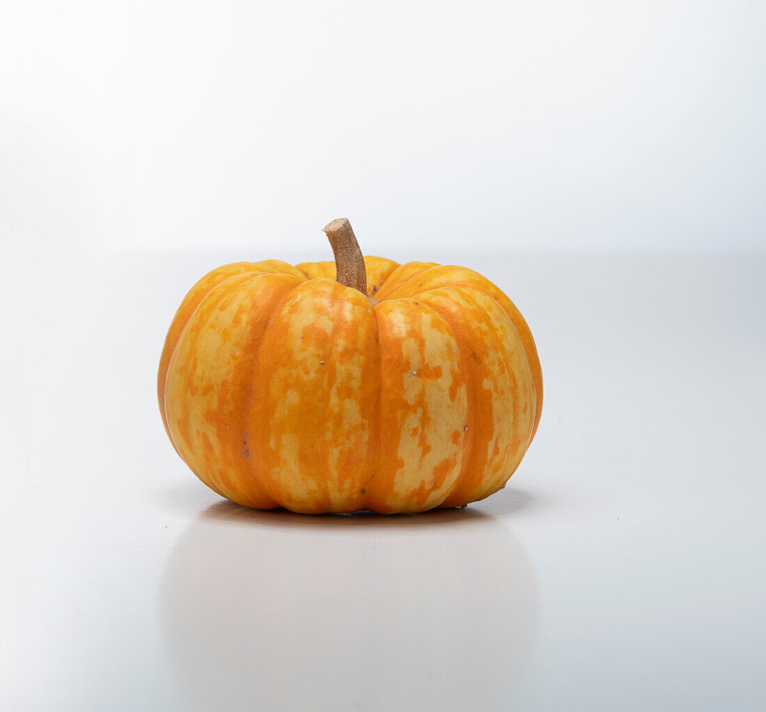 Puccini F1 (pumpkin variety from France)