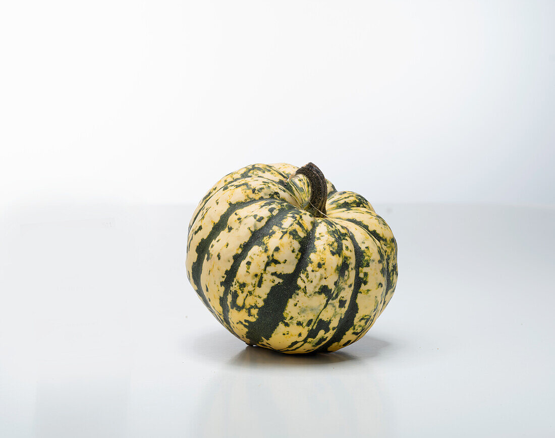 Harlequin F1 (pumpkin variety from the USA)
