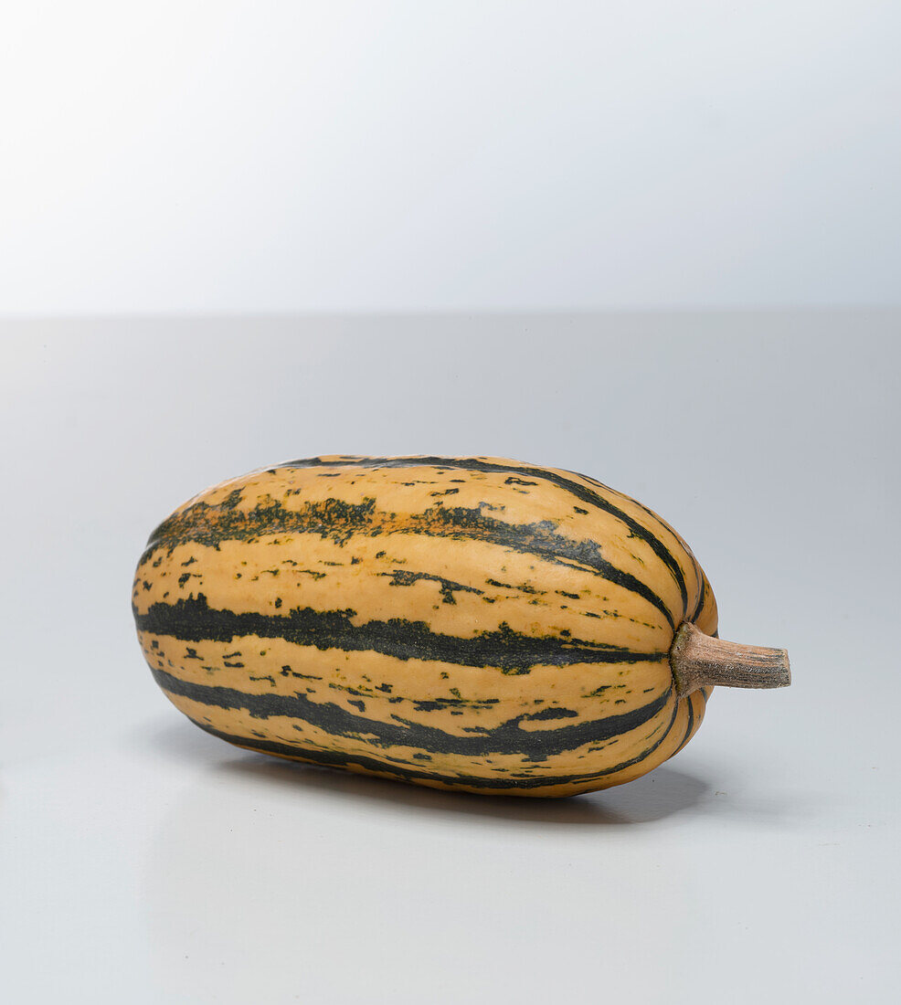 Honeyboat Delicata (pumpkin variety)