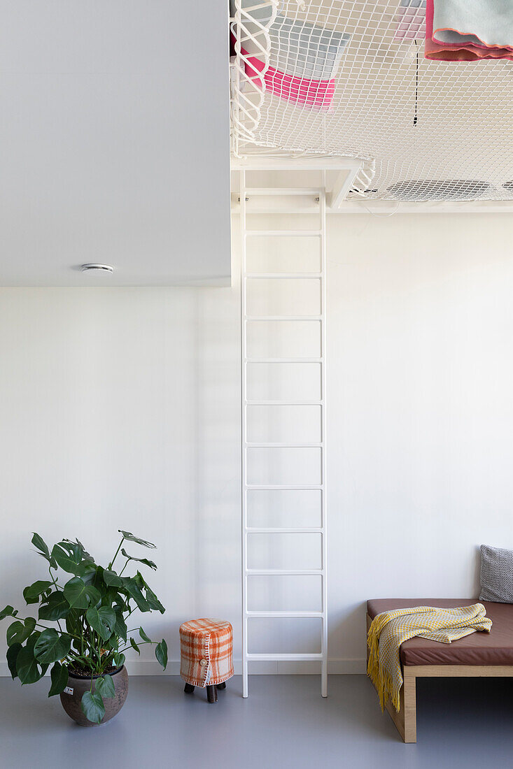 White ladder to a net in the modern living room with plant and seating area