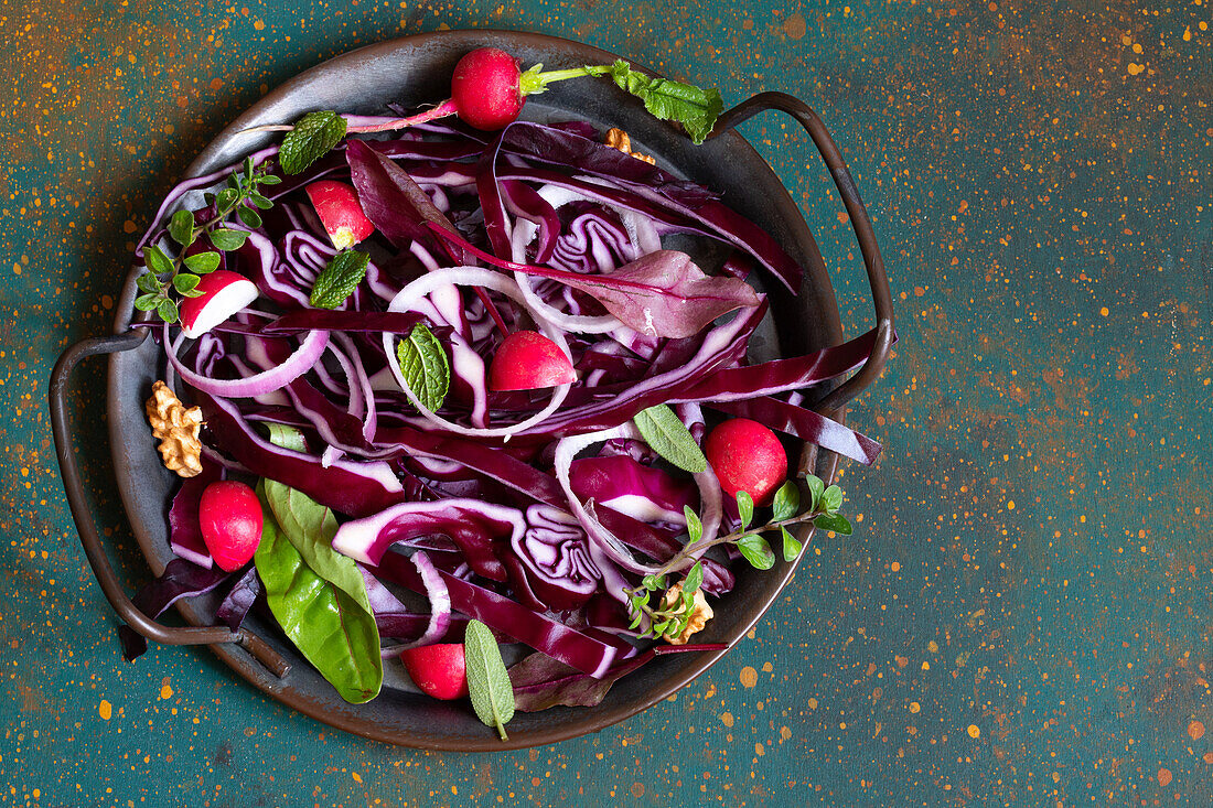 Red cabbage and radish salad with spinach