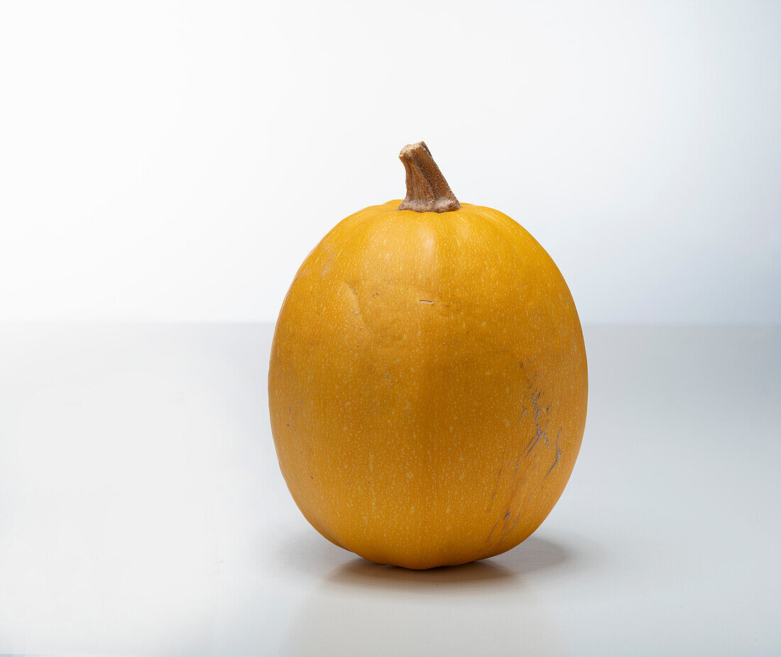 Small Wonder F1 (pumpkin variety from Serbia)