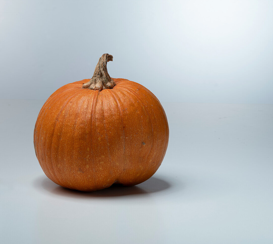 Spookie (pumpkin variety from Hungary)