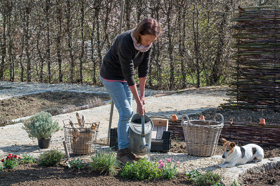 Bed border with herbs and cloves