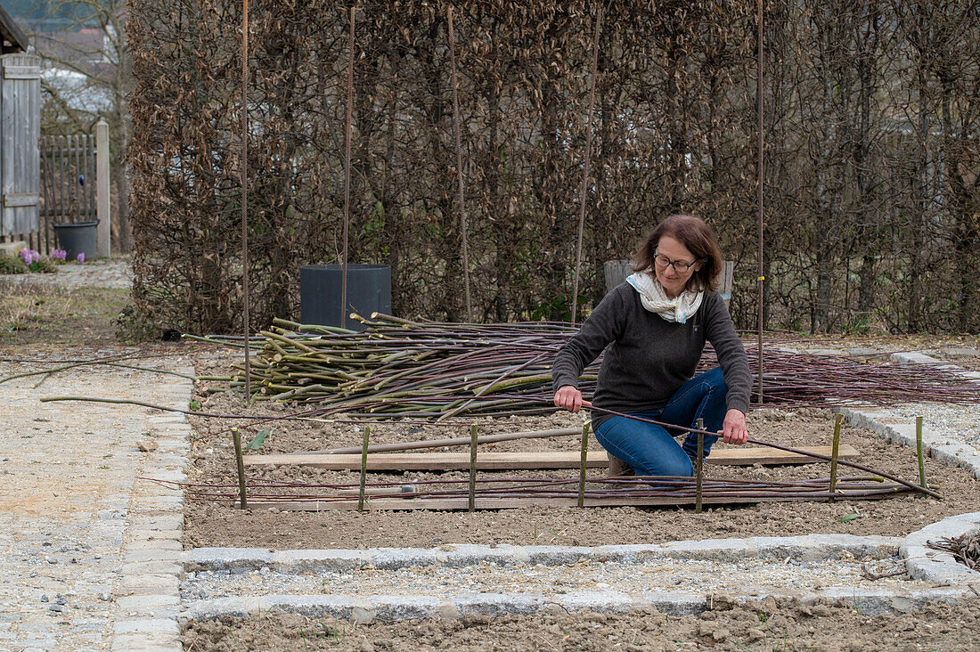 Creating a vegetable bed with a wicker wall for climbing plants