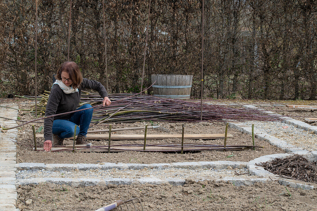 Creating a vegetable bed with a wicker wall for climbing plants