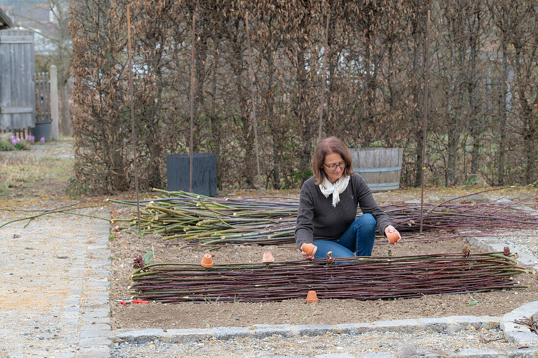 Creating a vegetable bed with a wicker wall for climbing plants