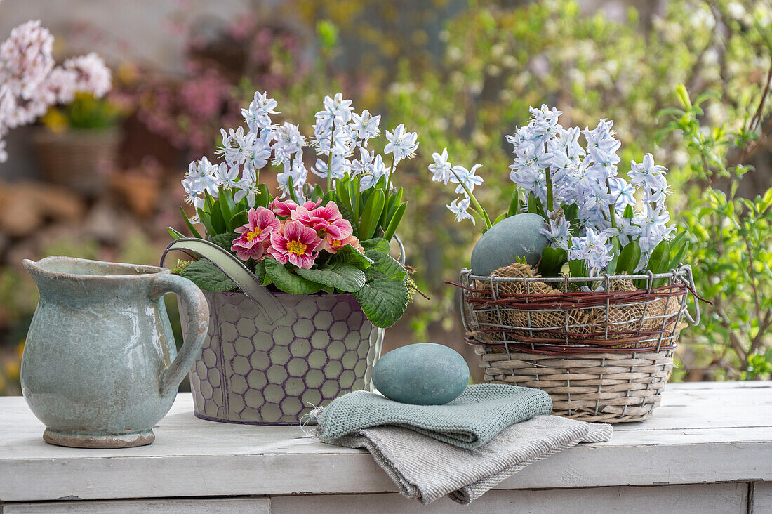 Hyacinths (Hyacinthus), coneflowers (Pushkinia) and primroses (Primula) in pots with Easter eggs on the patio