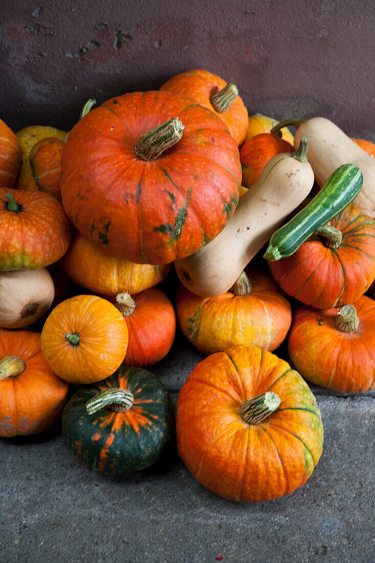 Different types of pumpkin