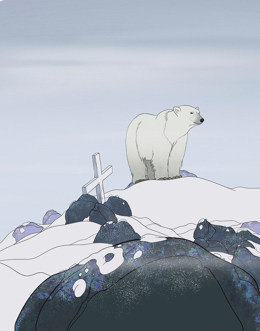 Solitary polar bear, illustration