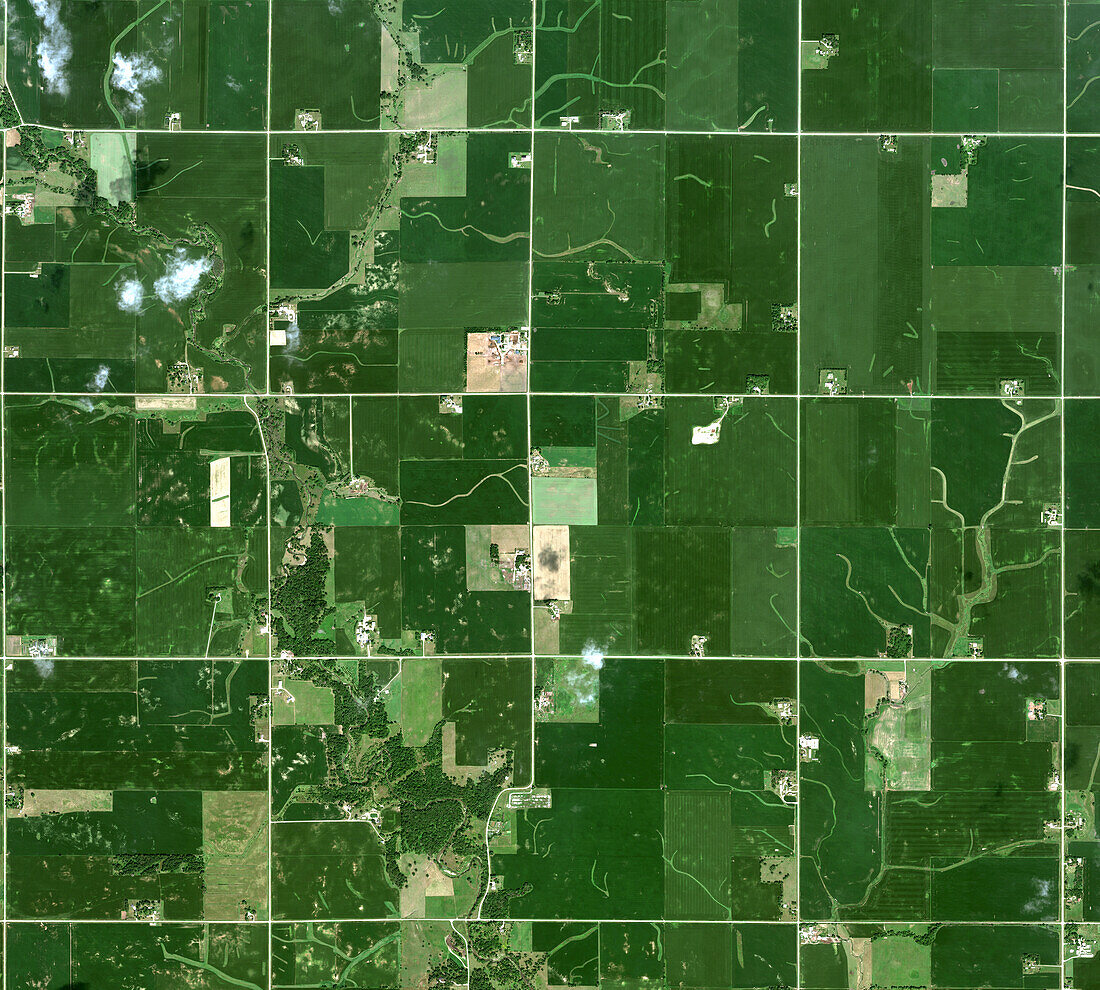Corn fields, Iowa, USA, satellite image