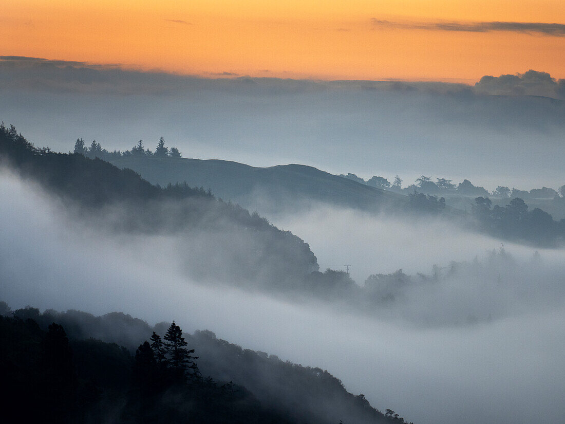 Mist in valley