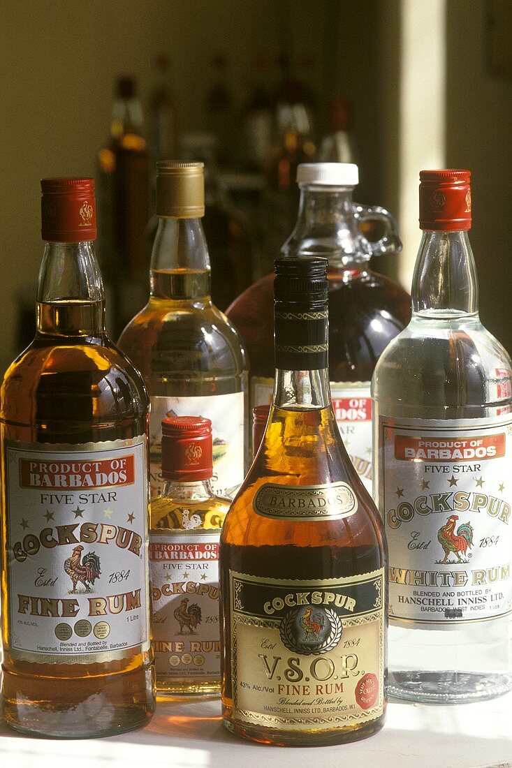 Verschiedene Rumflaschen (Westindies Rum Refinerie, Barbados)