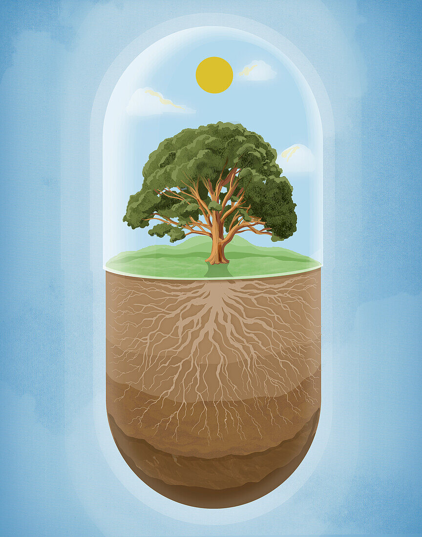 Natural medicine, conceptual illustration