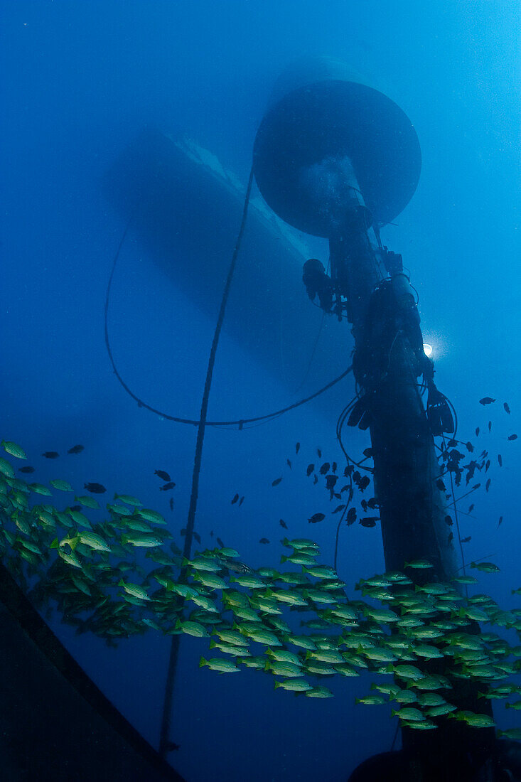 Diver working on wave energy buoy