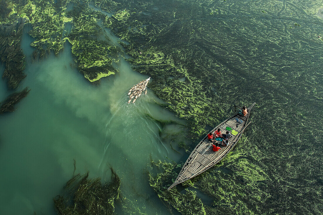 Fishermen, Sirajganj, Bangladesh, aerial photograph
