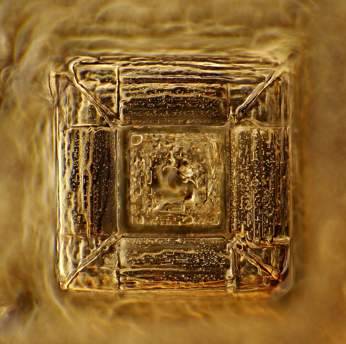 Recrystallised kitchen salt, light micrograph