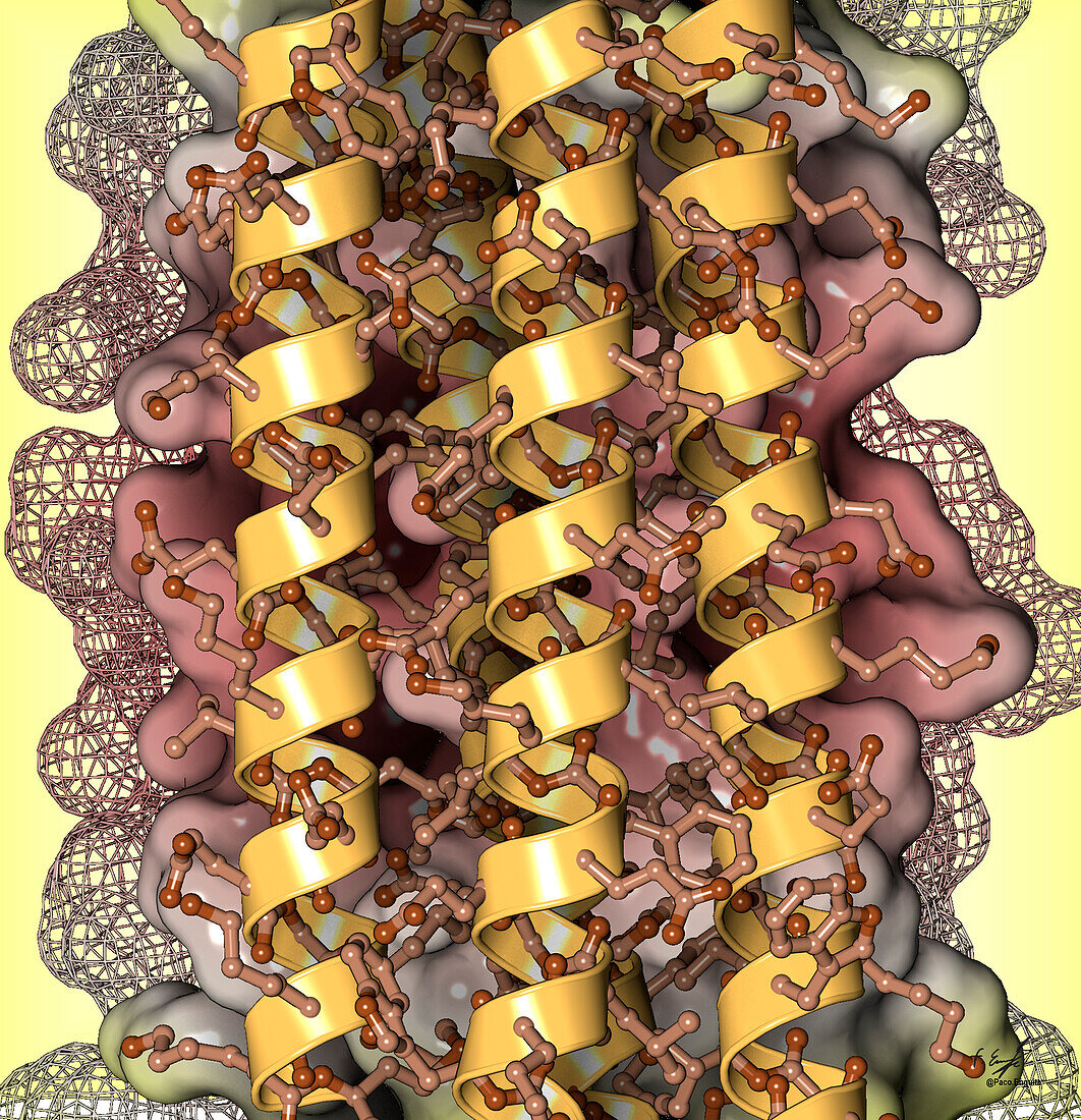 Minimalistic molecular maquette scaffold, illustration