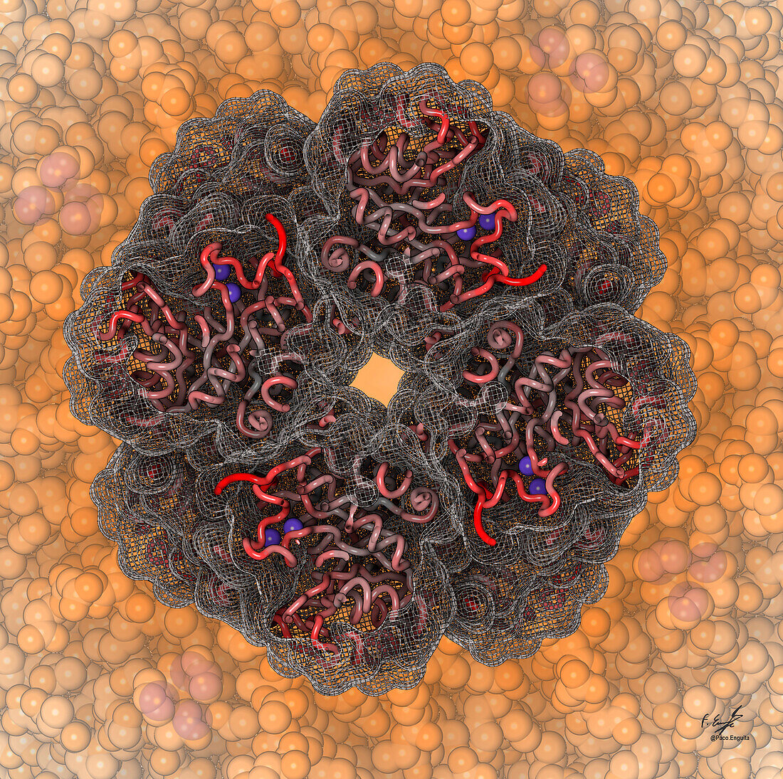 Lead atoms complexed with ALAD enzyme, illustration