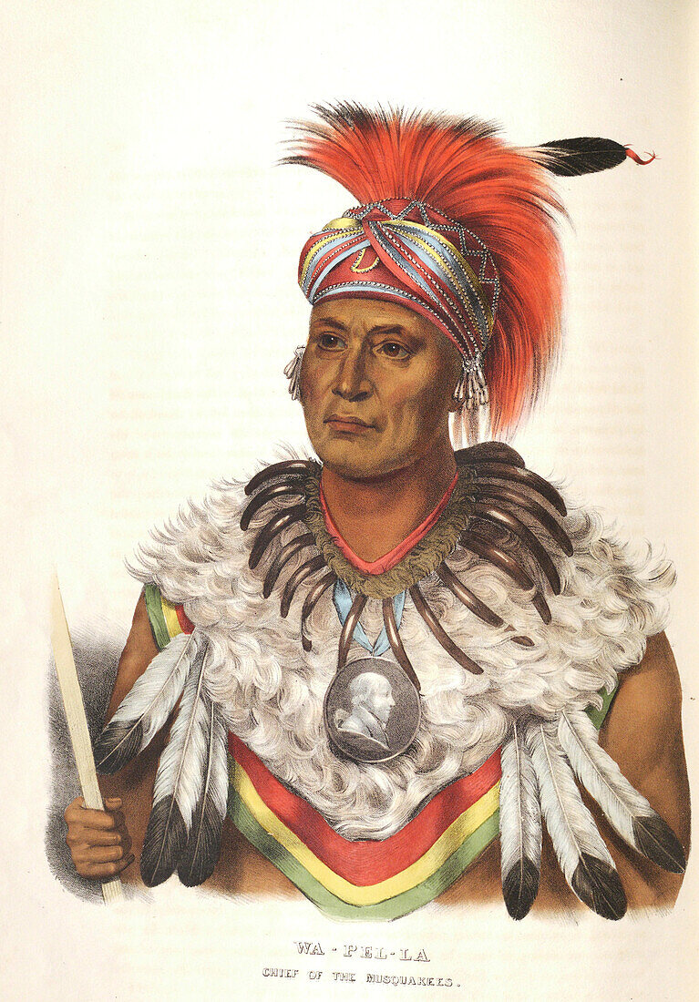 Wapella, Musquakee Chief, illustration