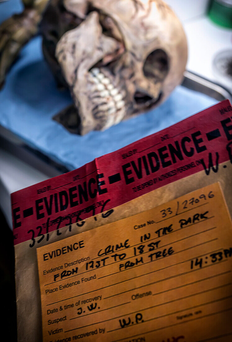 Evidence bag and human remains in forensics lab