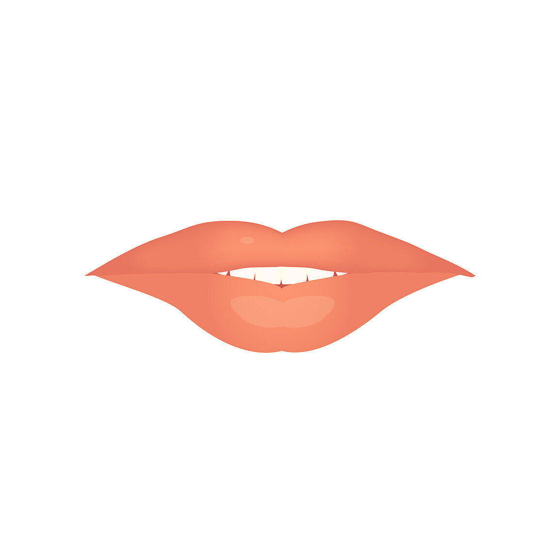 Lips, illustration