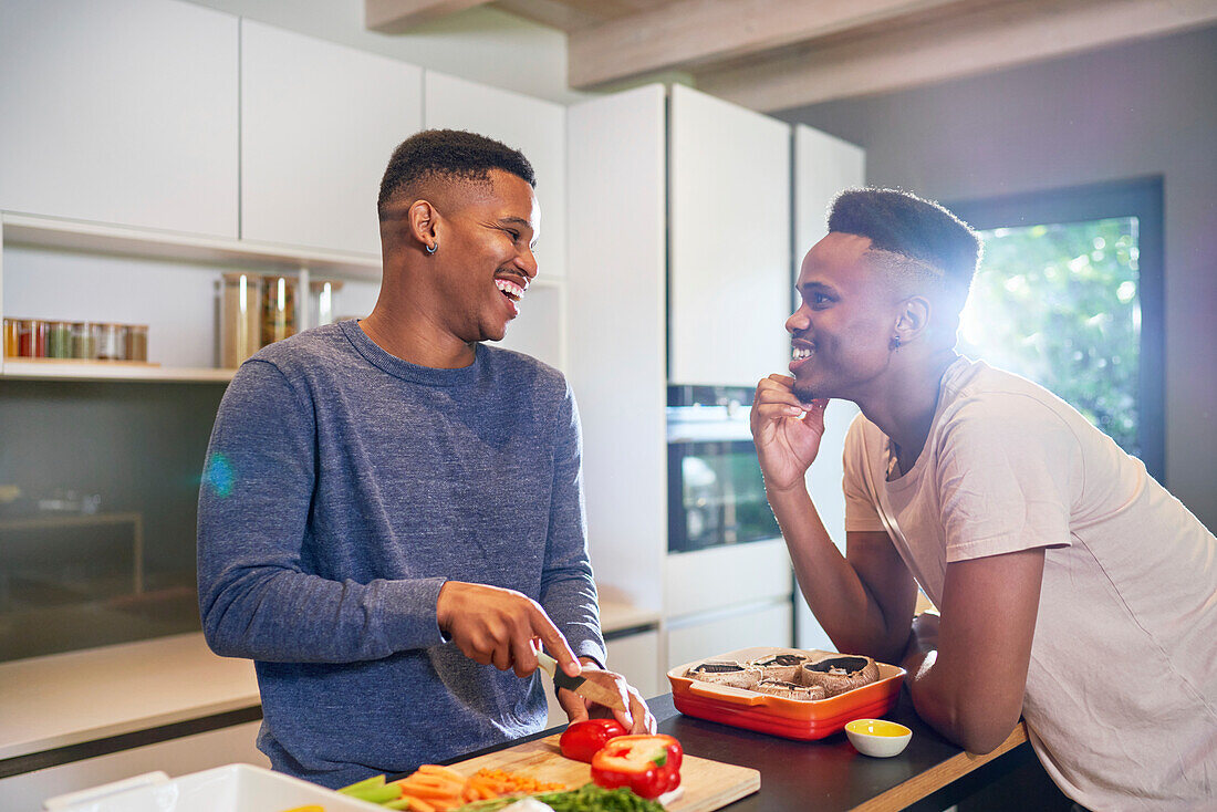 Happy young gay male couple cooking