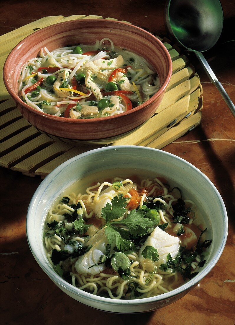 Asiatische Nudelsuppe mit Fisch; Kokosmilchsuppe mit Huhn