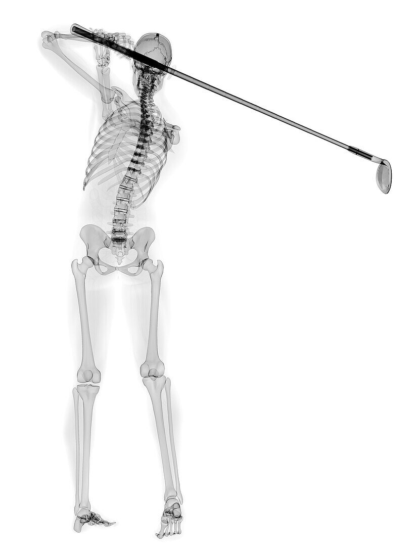 Golf player, illustration