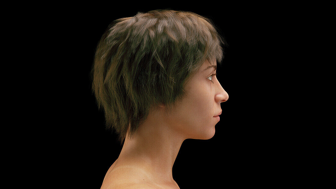 Female head, illustration