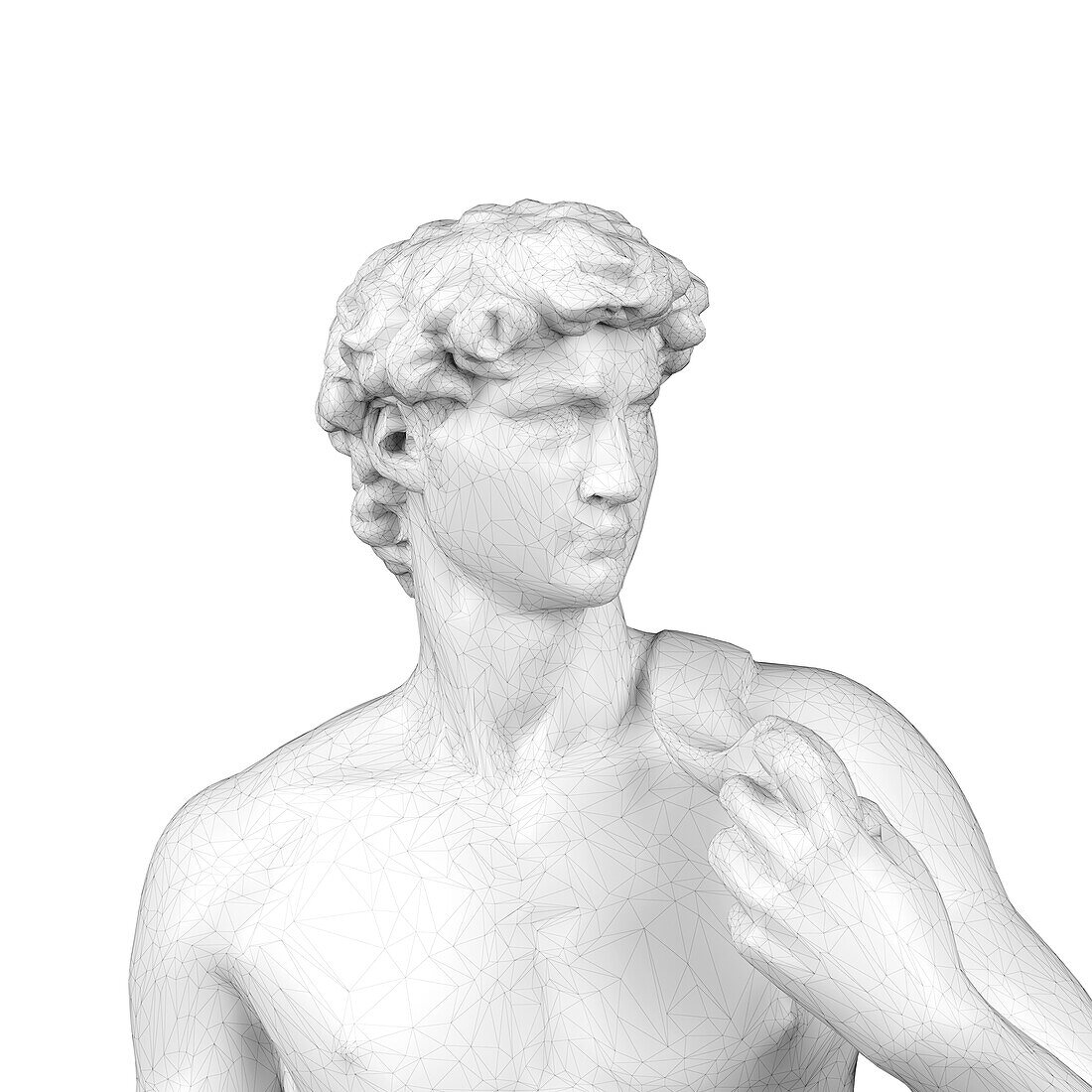Wireframe David statue, illustration