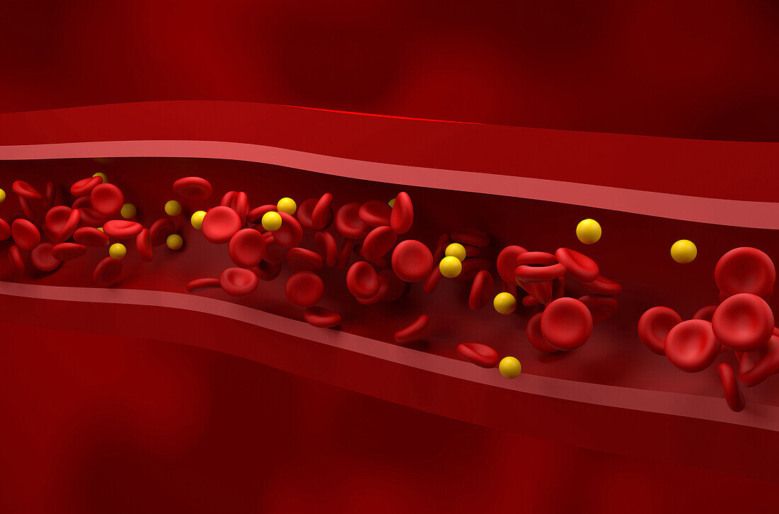 Normal level of cholesterol in blood, illustration