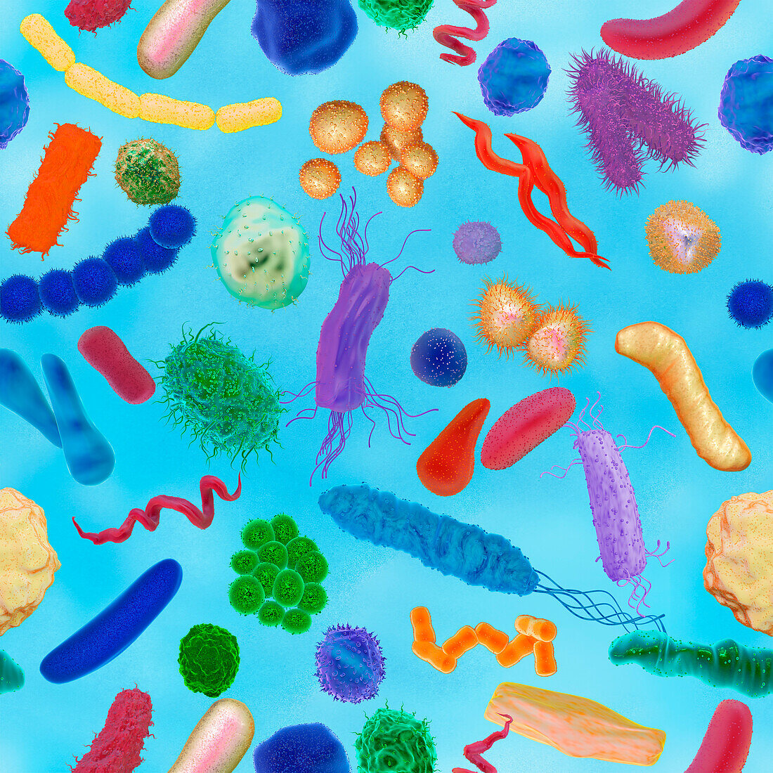 Various bacteria, illustration