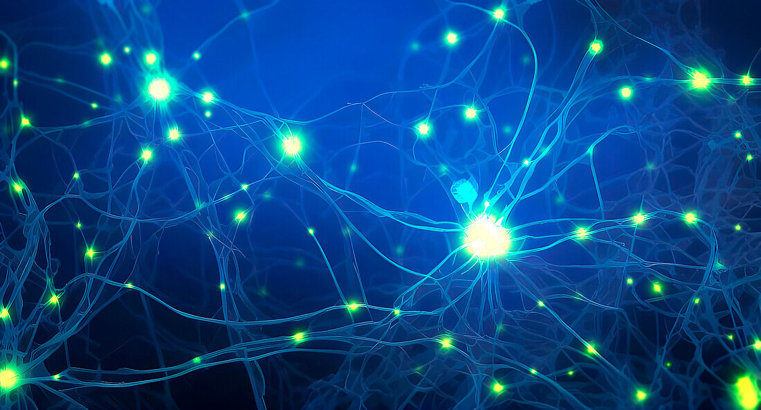 Neuronal network, conceptual illustration
