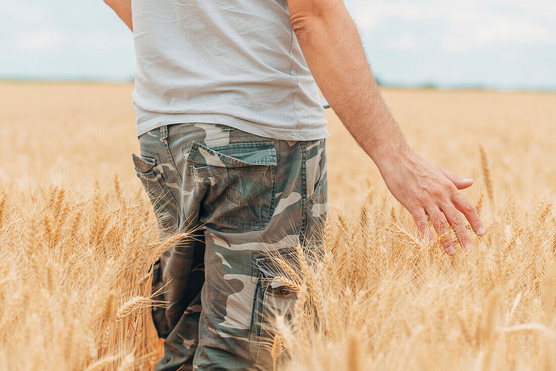 Farmer walking through wheat field