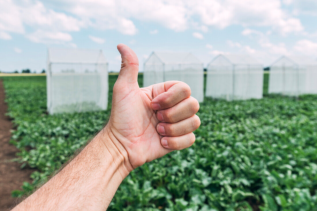 Farm worker gesturing thumbs up