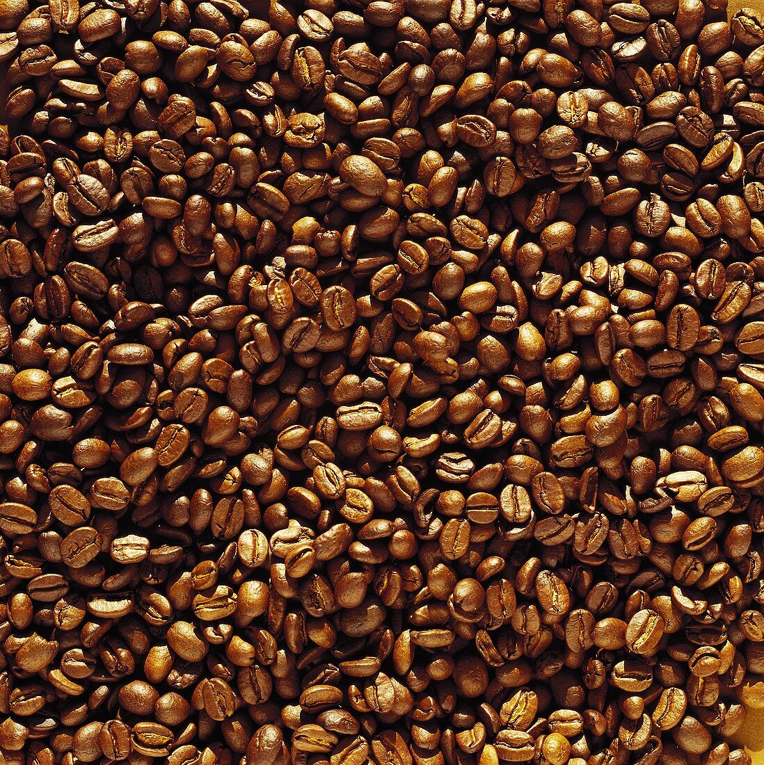 Kaffeebohnen (Ausschnitt)